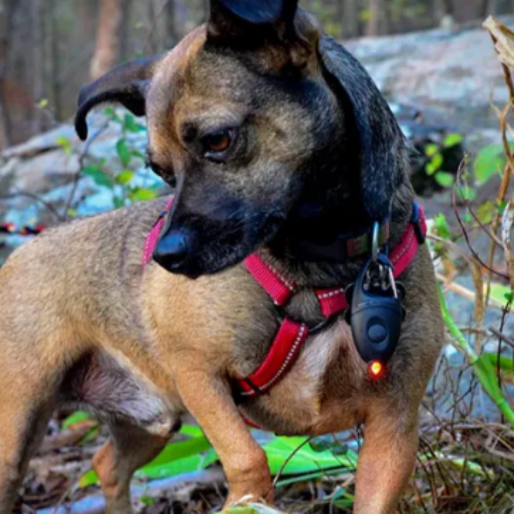 Princeton Tec Impulse | 10 Lumens | 20 Hours 4 Princeton Tec Impulse | 10 Lumens | 20 Hours - Image 2