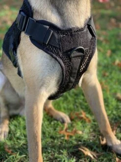 Artemis Dog Harness - No Pull No Tug No Choke Adjustable Breathable K-9 -Tactical Equipment artemis dog harness no pull no tug no choke adjustable breathable k 9 atomic defense accessories 4