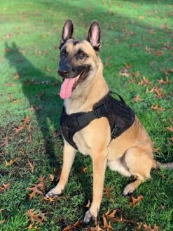 Artemis Dog Harness - No Pull No Tug No Choke Adjustable Breathable K-9 -Tactical Equipment artemis dog harness no pull no tug no choke adjustable breathable k 9 atomic defense accessories 7