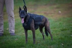 Bulletproof Vests For Dogs | Breathable Bulletproof K-9 Harness 26 Bulletproof Vests For Dogs | Breathable Bulletproof K-9 Harness -Tactical Equipment bulletproof vests for dogs or breathable bulletproof k 9 harness atomic defense accessories 12