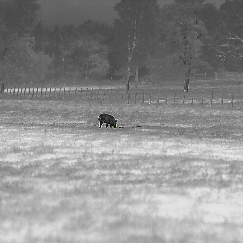 IRay RS75 | 2-16x LPVO | Thermal Rifle Scope | 3600 Yards 4 IRay RS75 | 2-16x LPVO | Thermal Rifle Scope | 3600 Yards - Image 2